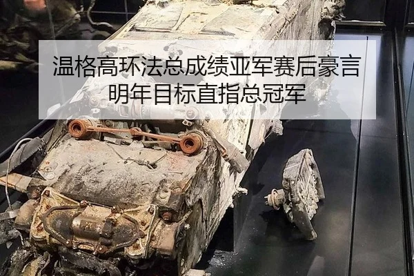 wen-ge-gao-huan-fa-zong-cheng-ji-ya-jun-sai-hou-hao-yan-ming-nian-mu-biao-zhi-zhi-zong-guan-jun-3-771.jpg