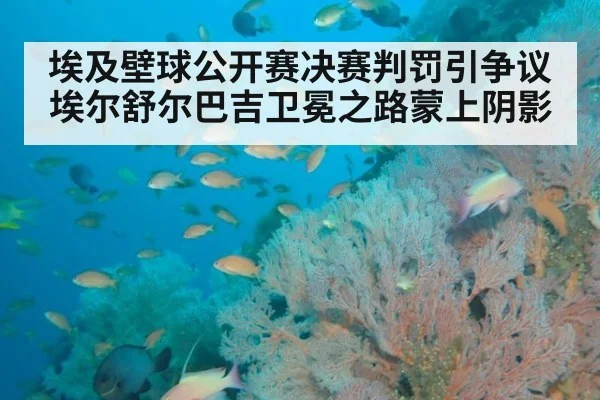 埃及壁球公开赛决赛判罚引争议 埃尔舒尔巴吉卫冕之路蒙上阴影
